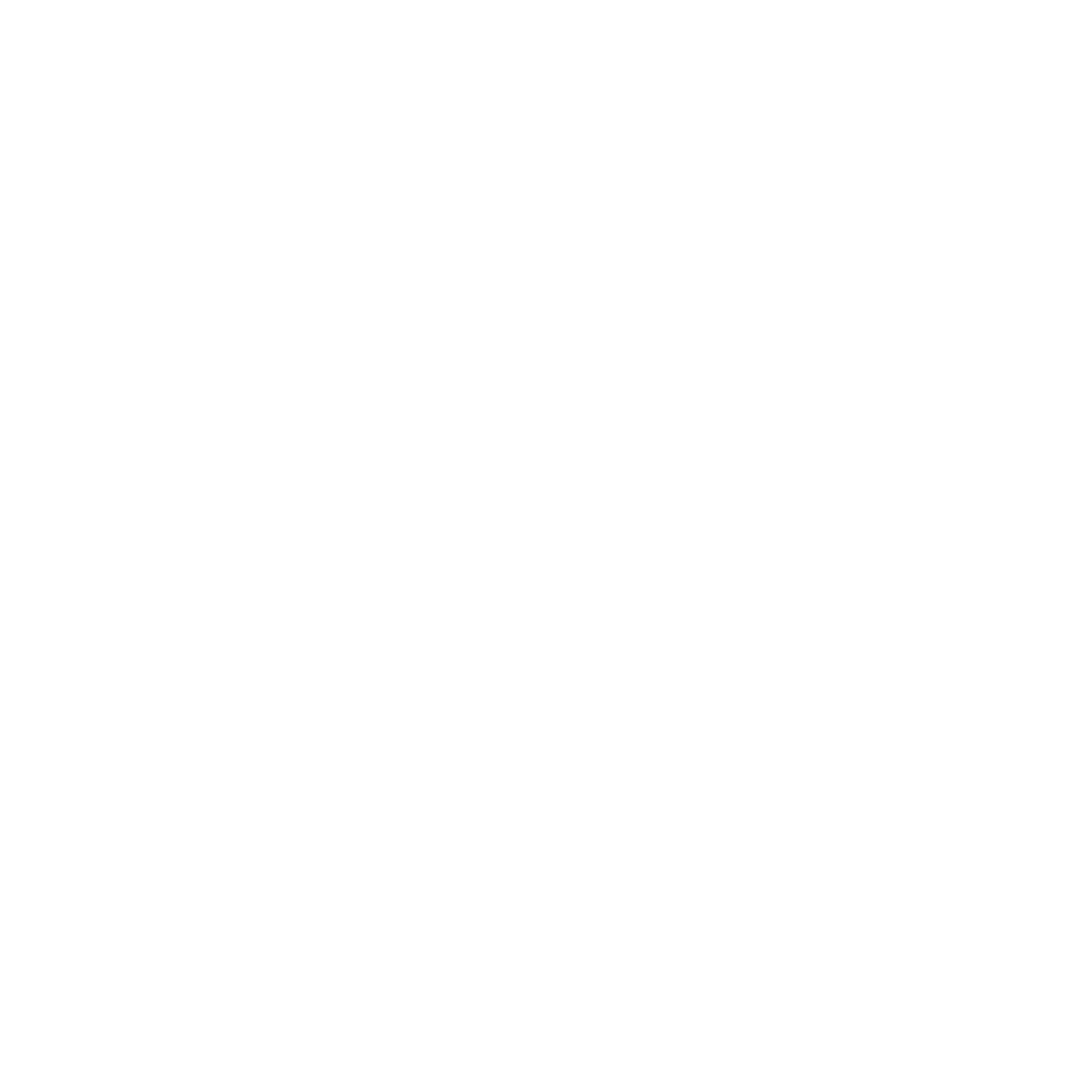 Outlets and a plug